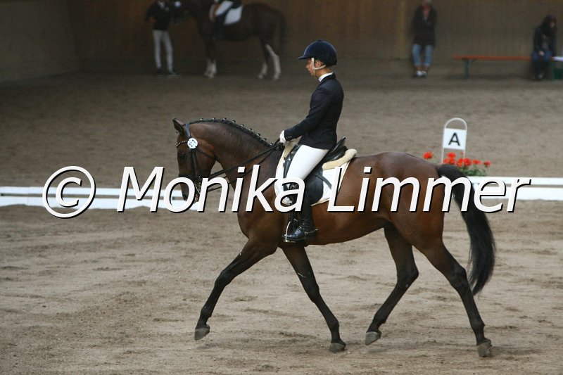 109L8563_Lavinio_L Dressur.JPG